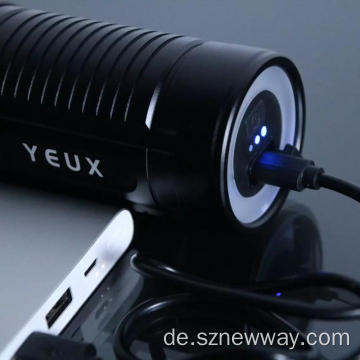 Yeux-Angellicht-Blitzlicht für Angeln YD-01